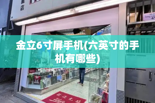 金立6寸屏手机(六英寸的手机有哪些)