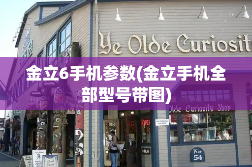 金立6手机参数(金立手机全部型号带图)-第1张图片-星选测评