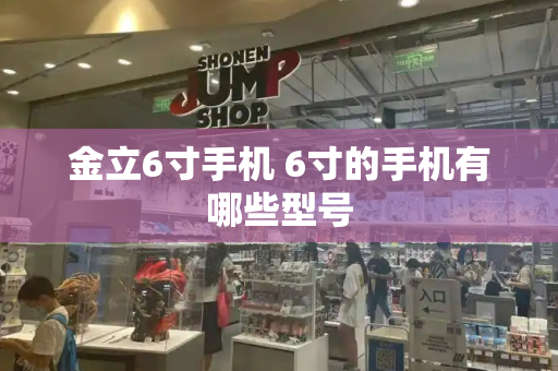 金立6寸手机 6寸的手机有哪些型号-第1张图片-星选测评