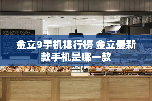 金立9手机排行榜 金立最新款手机是哪一款