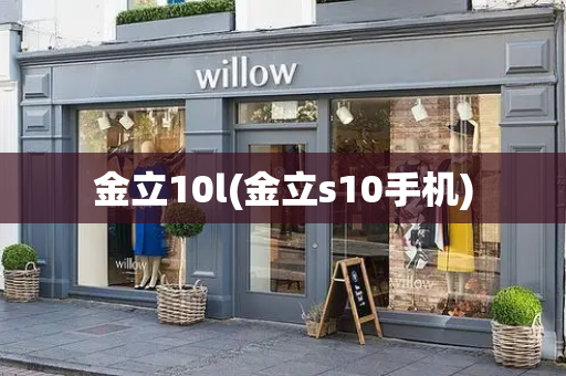 金立10l(金立s10手机)-第1张图片-星选测评