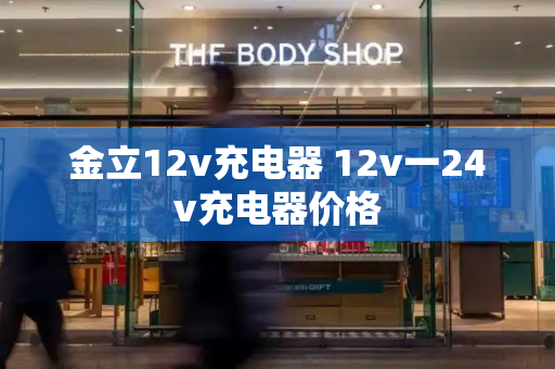 金立12v充电器 12v一24v充电器价格
