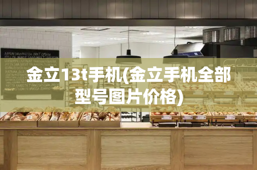 金立13t手机(金立手机全部型号图片价格)-第1张图片-星选测评
