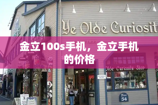 金立100s手机，金立手机的价格-第1张图片-星选测评