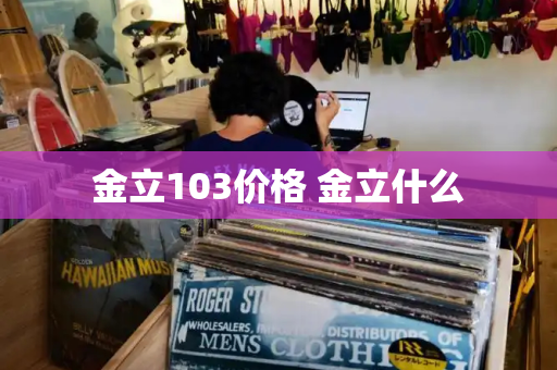 金立103价格 金立什么-第1张图片-星选测评