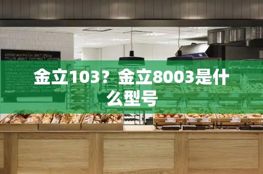 金立103？金立8003是什么型号