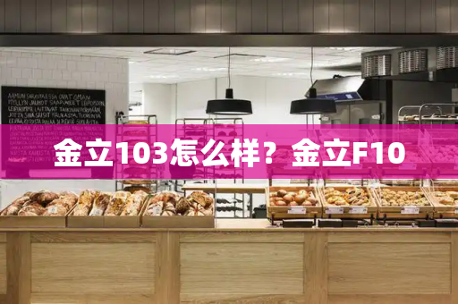 金立103怎么样？金立F100-第1张图片-星选测评