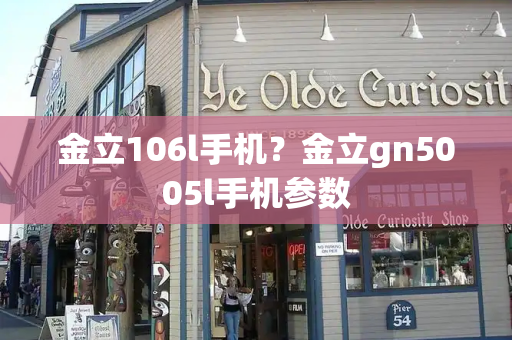 金立106l手机？金立gn5005l手机参数-第1张图片-星选测评
