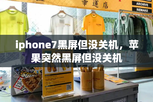 iphone7黑屏但没关机，苹果突然黑屏但没关机-第1张图片-星选测评