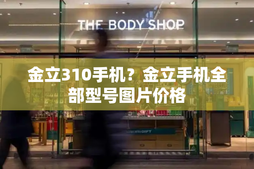 金立310手机？金立手机全部型号图片价格-第1张图片-星选测评