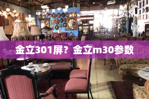 金立301屏？金立m30参数-第1张图片-星选测评