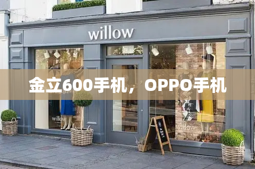 金立600手机，OPPO手机-第1张图片-星选测评