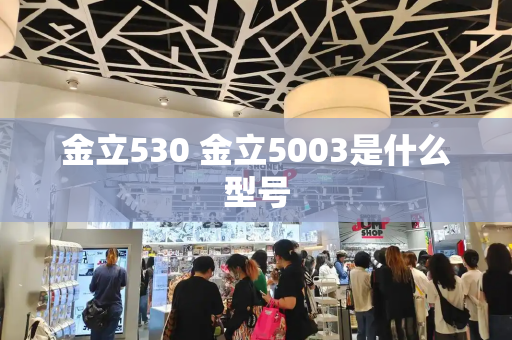 金立530 金立5003是什么型号-第1张图片-星选测评