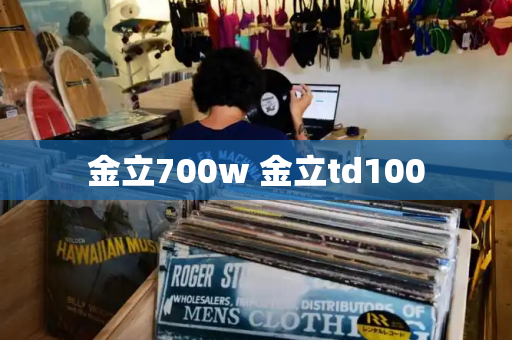 金立700w 金立td100