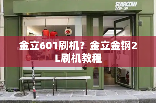 金立601刷机？金立金钢2L刷机教程-第1张图片-星选测评