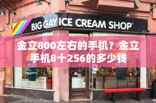 金立800左右的手机？金立手机8十256的多少钱-第1张图片-星选测评