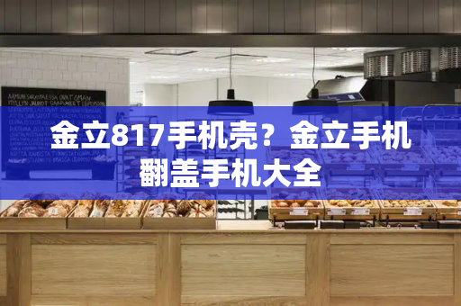金立817手机壳？金立手机翻盖手机大全