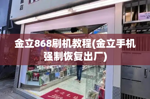 金立868刷机教程(金立手机强制恢复出厂)-第1张图片-星选测评