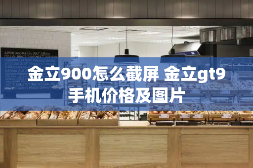 金立900怎么截屏 金立gt9手机价格及图片