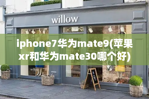 iphone7华为mate9(苹果xr和华为mate30哪个好)-第1张图片-星选测评