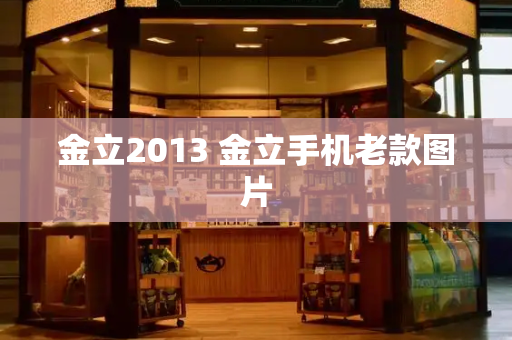 金立2013 金立手机老款图片-第1张图片-星选测评