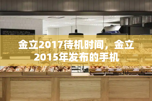 金立2017待机时间，金立2015年发布的手机-第1张图片-星选测评