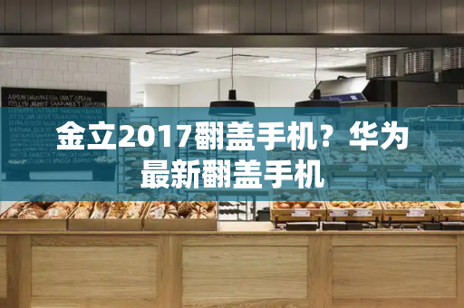 金立2017翻盖手机？华为最新翻盖手机