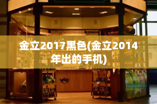 金立2017黑色(金立2014年出的手机)