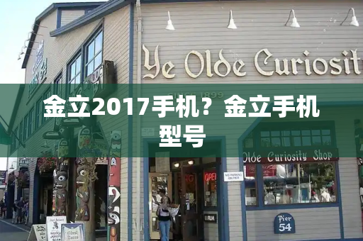 金立2017手机？金立手机型号-第1张图片-星选测评