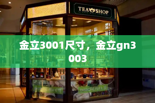金立3001尺寸，金立gn3003-第1张图片-星选测评