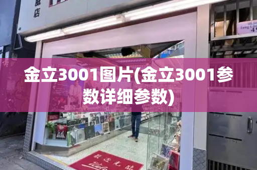 金立3001图片(金立3001参数详细参数)