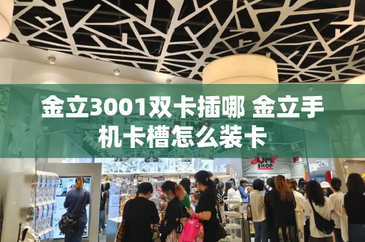 金立3001双卡插哪 金立手机卡槽怎么装卡-第1张图片-星选测评