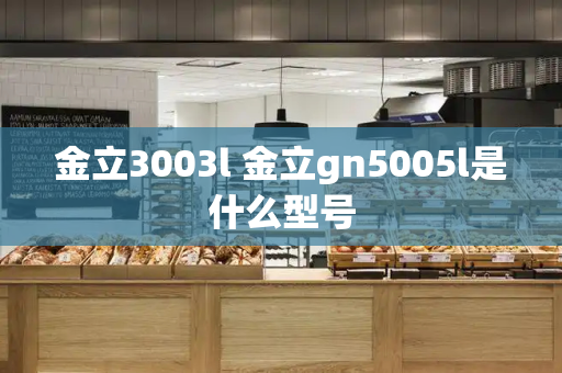 金立3003l 金立gn5005l是什么型号