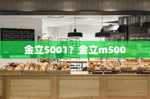 金立5001？金立m500