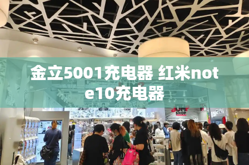 金立5001充电器 红米note10充电器