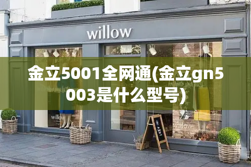 金立5001全网通(金立gn5003是什么型号)-第1张图片-星选测评