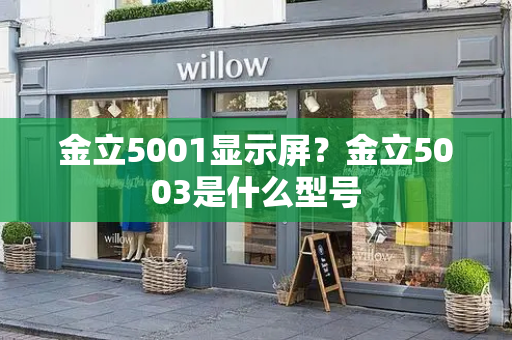 金立5001显示屏？金立5003是什么型号-第1张图片-星选测评