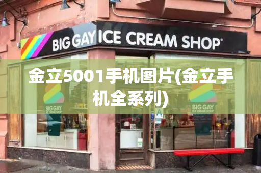 金立5001手机图片(金立手机全系列)