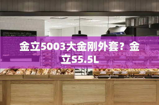 金立5003大金刚外套？金立S5.5L
