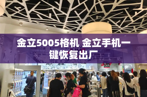 金立5005格机 金立手机一键恢复出厂-第1张图片-星选测评