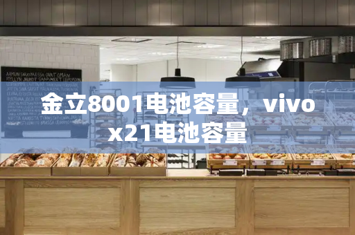 金立8001电池容量，vivox21电池容量