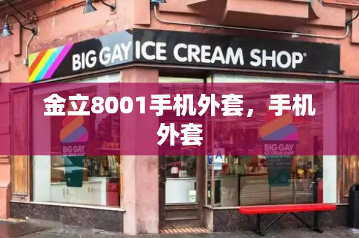 金立8001手机外套，手机外套-第1张图片-星选测评