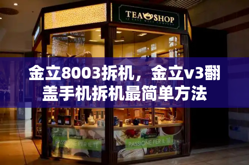 金立8003拆机，金立v3翻盖手机拆机最简单方法-第1张图片-星选测评