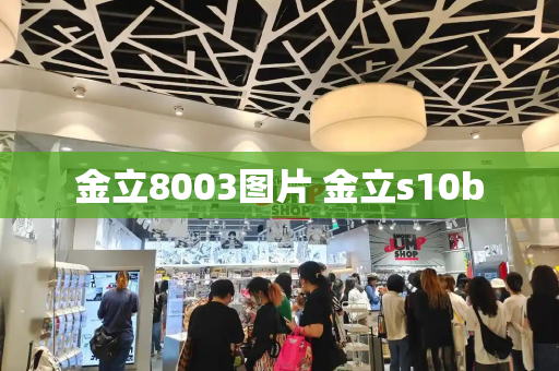 金立8003图片 金立s10b