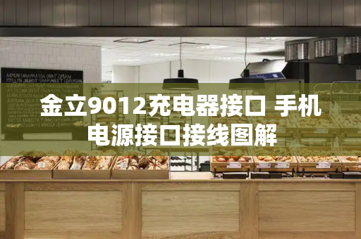 金立9012充电器接口 手机电源接口接线图解
