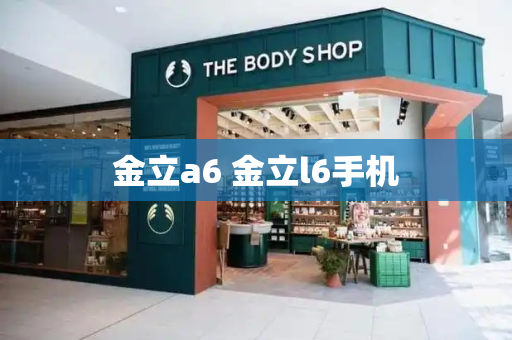 金立a6 金立l6手机-第1张图片-星选测评