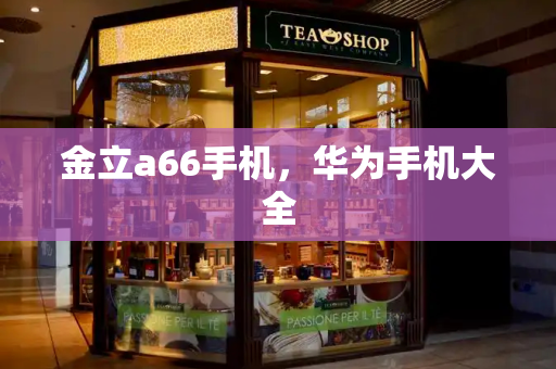 金立a66手机，华为手机大全