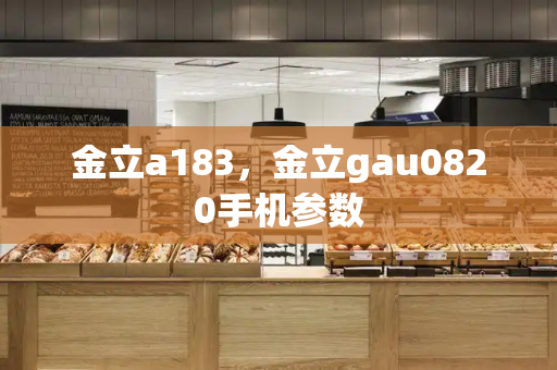 金立a183，金立gau0820手机参数-第1张图片-星选测评