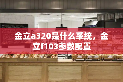 金立a320是什么系统，金立f103参数配置