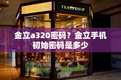 金立a320密码？金立手机初始密码是多少-第1张图片-星选测评